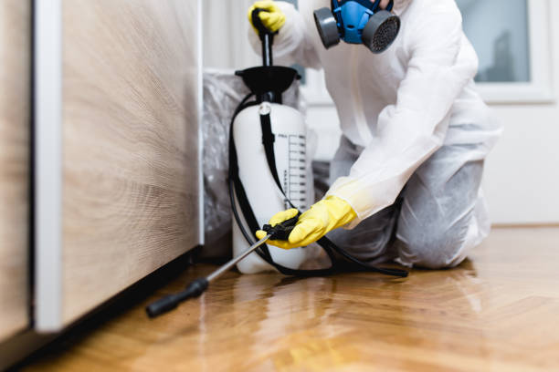 Best Pest Control Near Me  in Oak Ridge North, TX