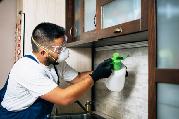 Best Flea Control Services  in Oak Ridge North, TX