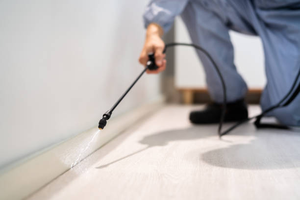 Best Pest Prevention Services  in Oak Ridge North, TX