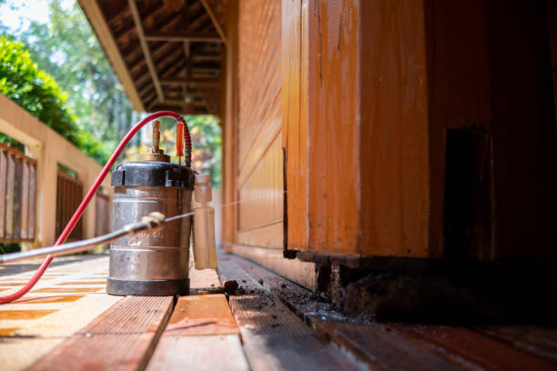 Pest Prevention Services in Oak Ridge North, TX
