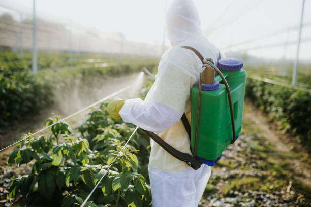 Oak Ridge North, TX Pest Control Company